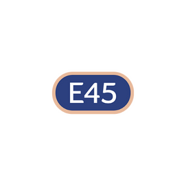 E45